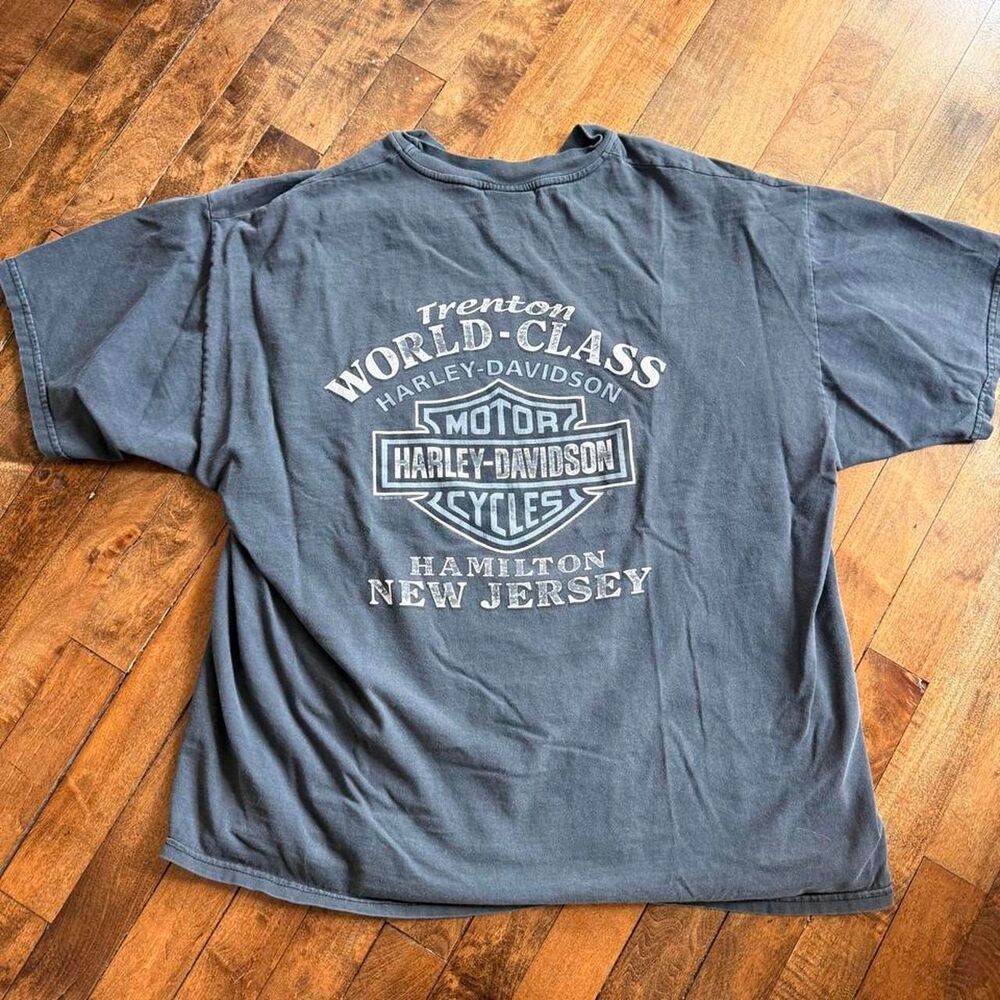 Harley-davidson Men's Blue and Grey T-shirt - Picture 6 of 6